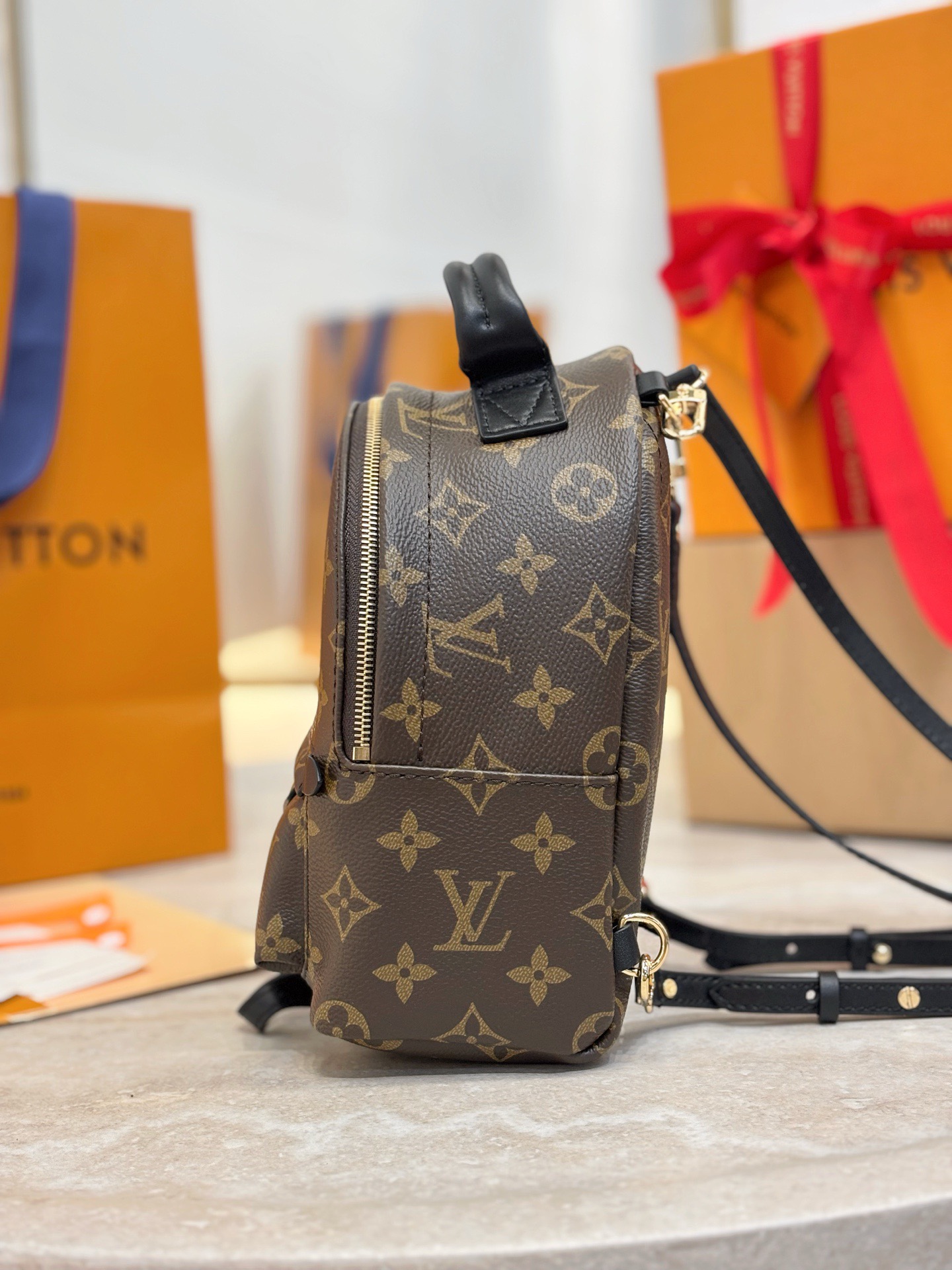 LV Palm Springs Mini M44871 - image 4