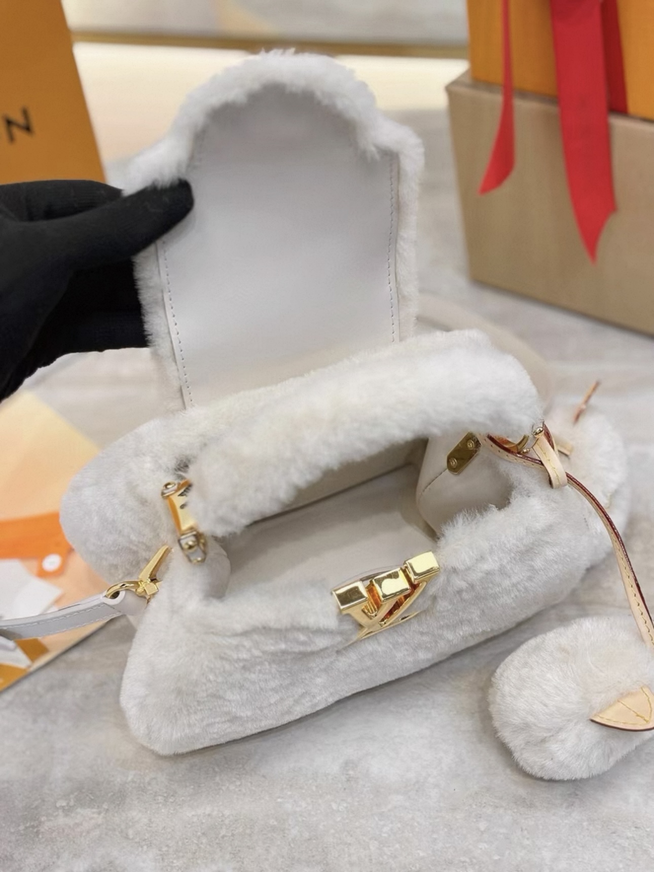 LV Ski Capusnow - image 6