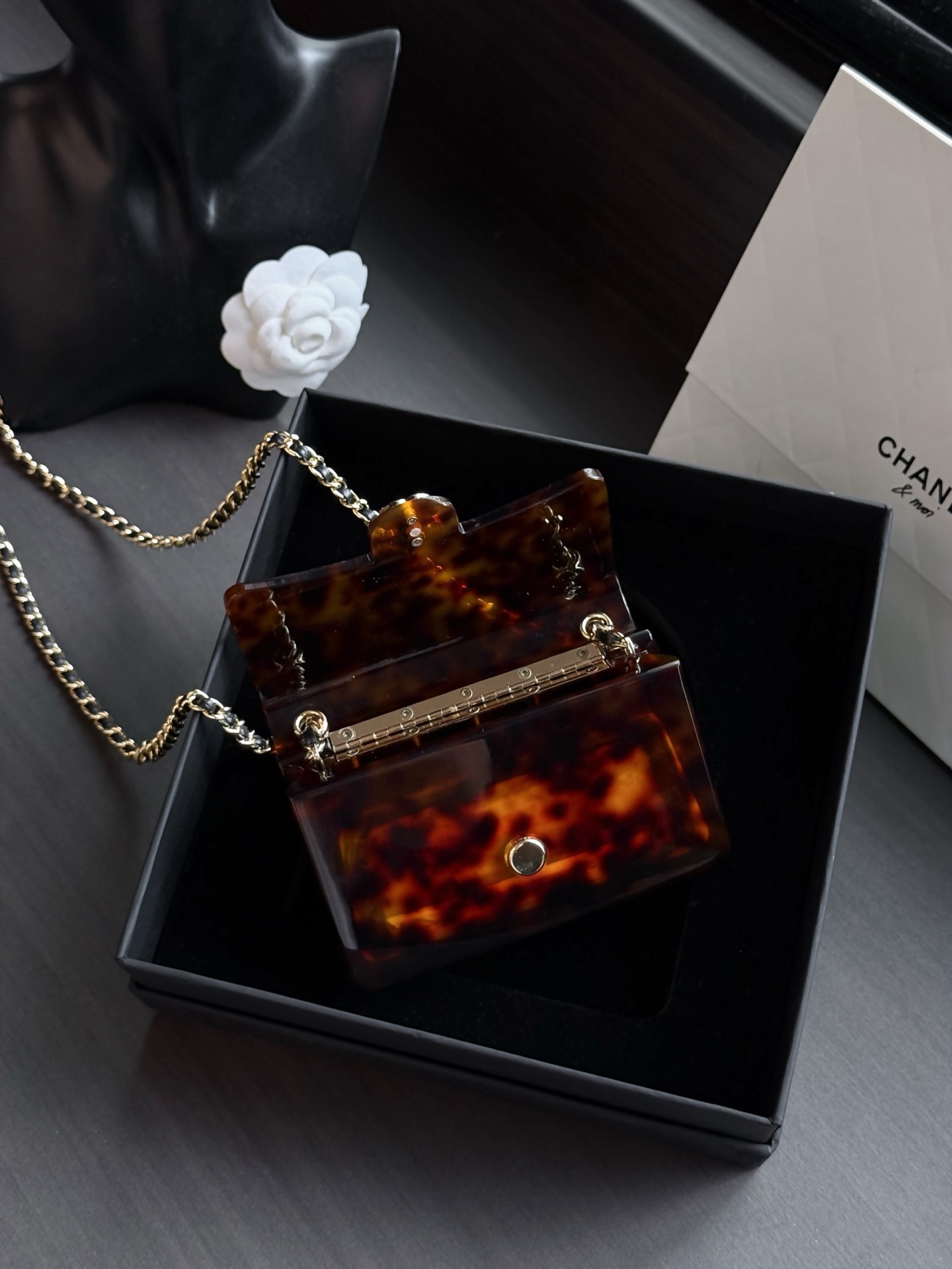 CHANEL MINI EVENING BAG Plexi - image 4