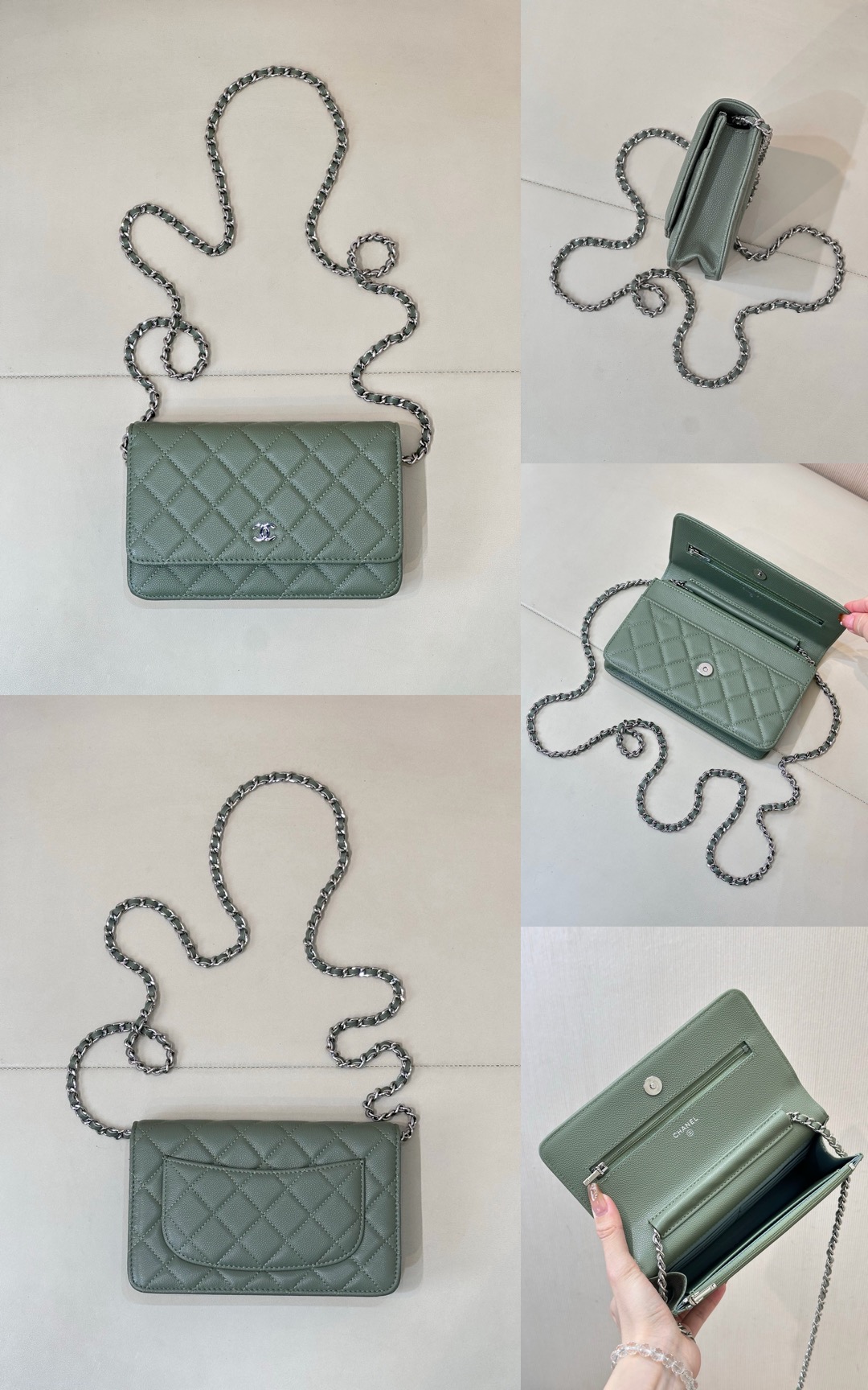 CHANEL Wallet On Chain Flap Bag - image 13