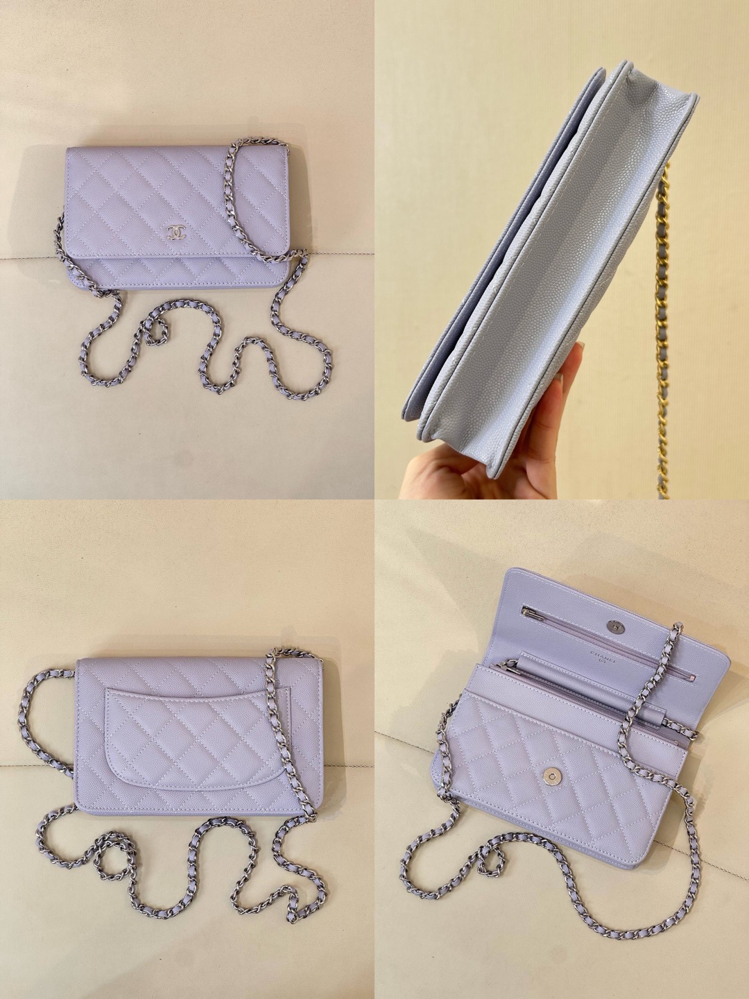 CHANEL Wallet On Chain Flap Bag - image 14