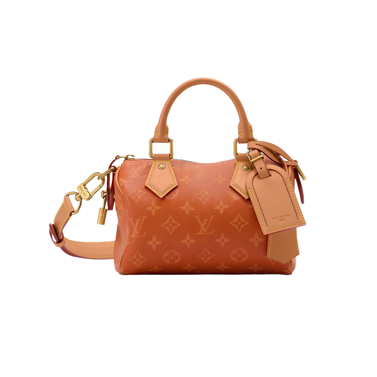 LV Speedy P9 20 M28307 - image 1