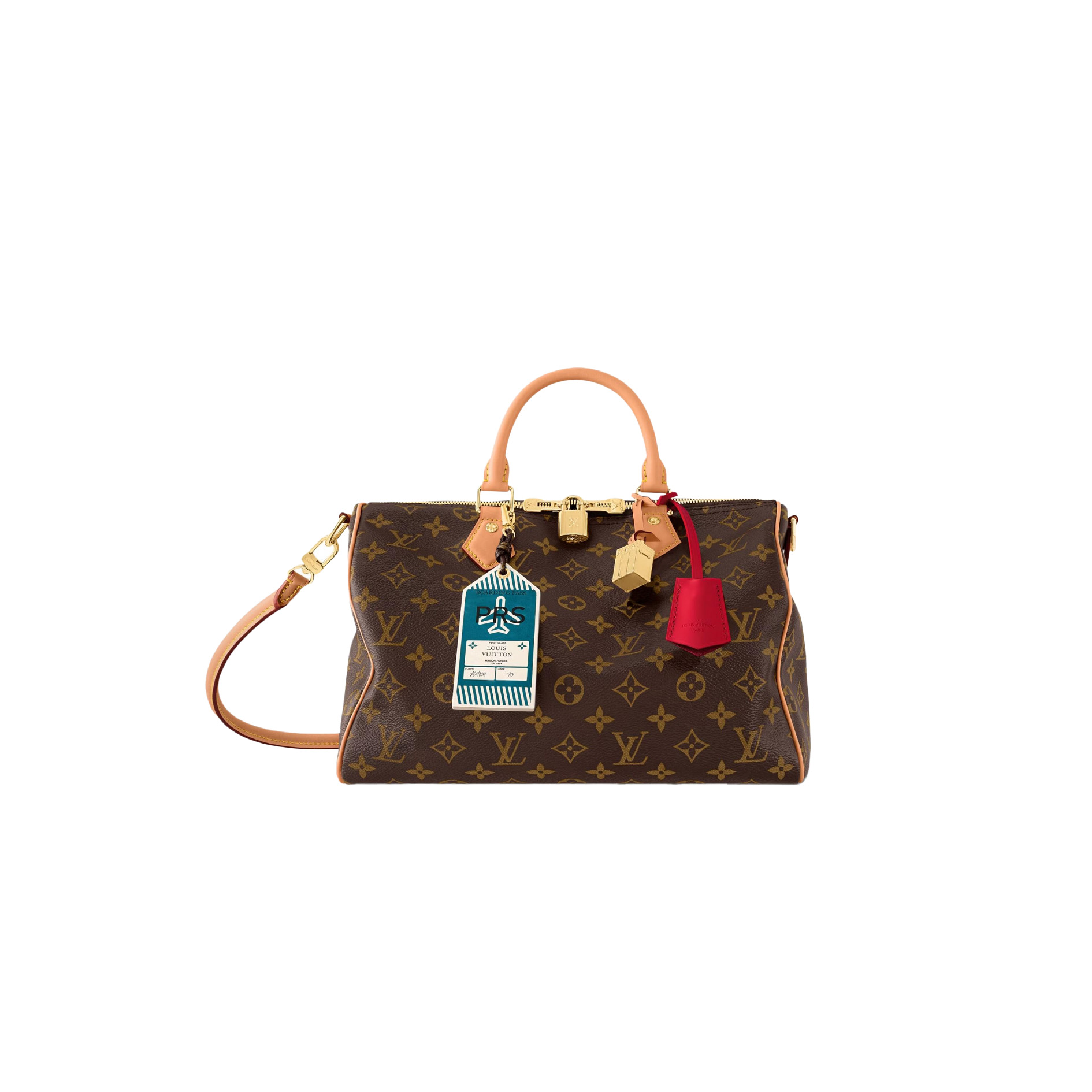 LV Speedy Soft 30 Crafty M11945 - image 1
