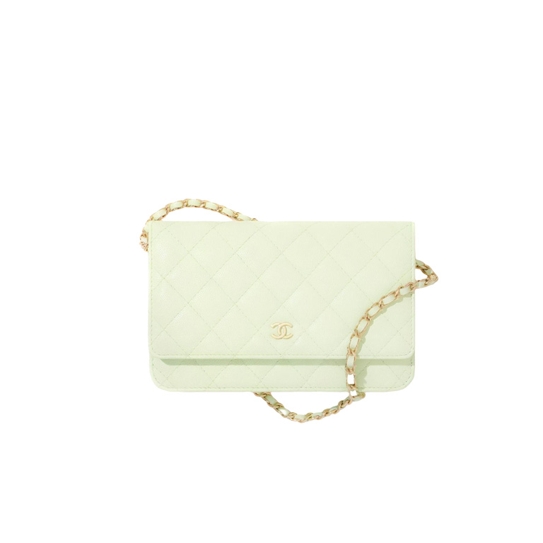 CHANEL Wallet On Chain Flap Bag