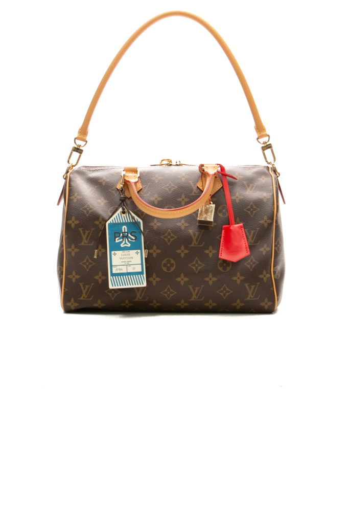 Louis Vuitton Speedy Soft 30 Crafty