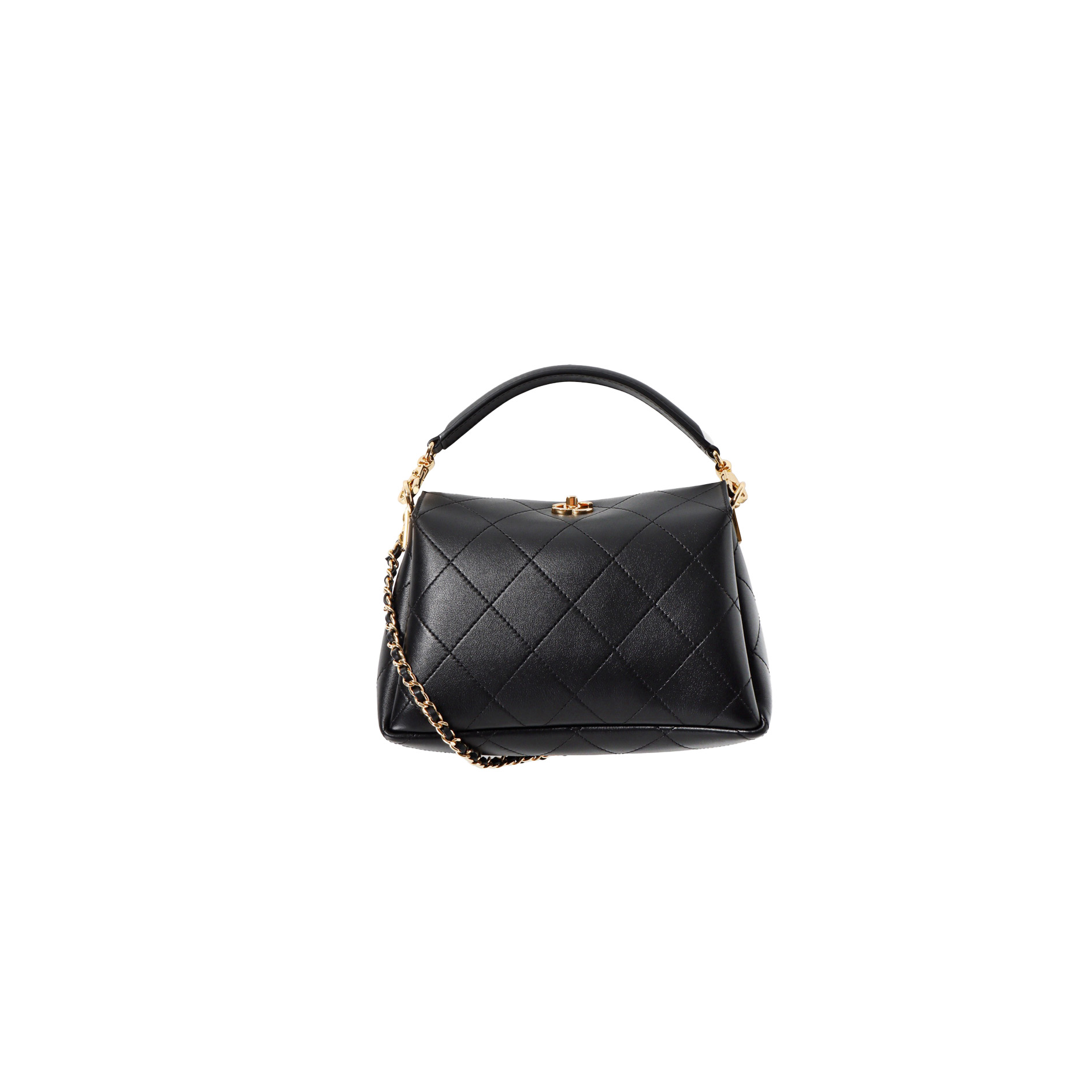 CHANEL 26S Vanity Bag